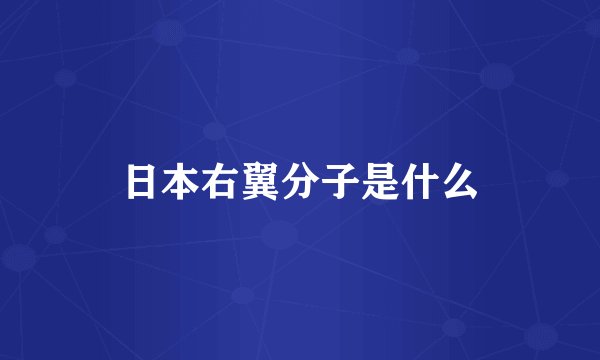 日本右翼分子是什么