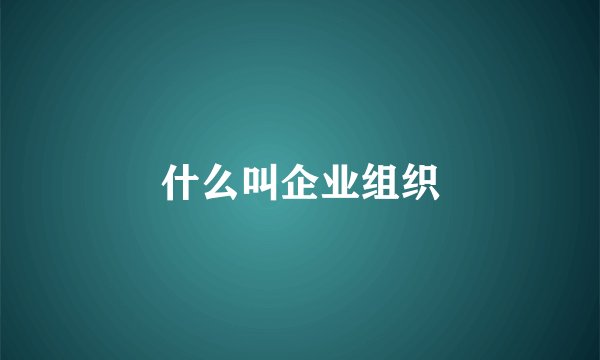 什么叫企业组织
