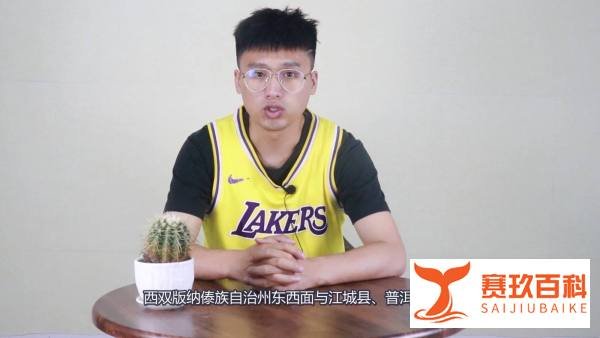 西双版纳属于云南哪个市区