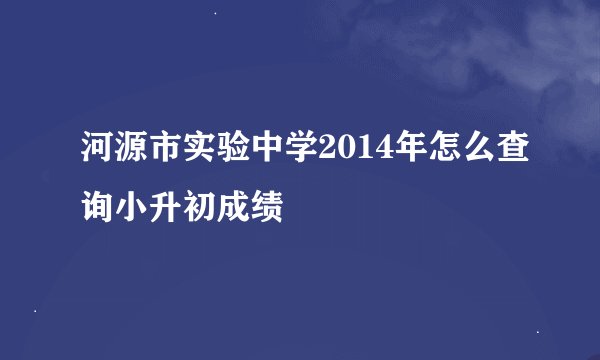 河源市实验中学2014年怎么查询小升初成绩