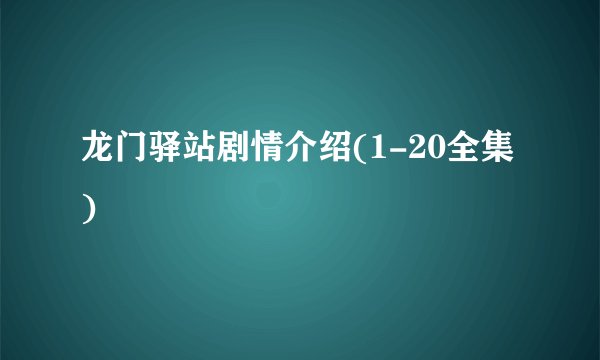 龙门驿站剧情介绍(1-20全集)