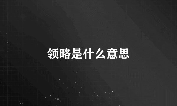 领略是什么意思