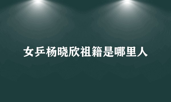 女乒杨晓欣祖籍是哪里人
