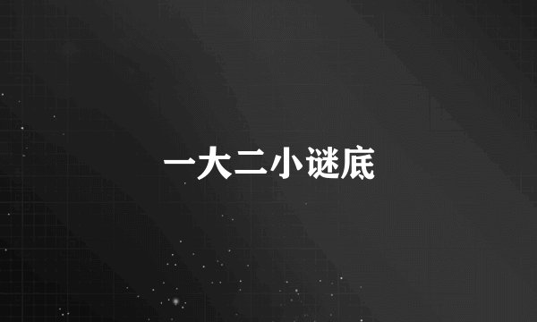 一大二小谜底