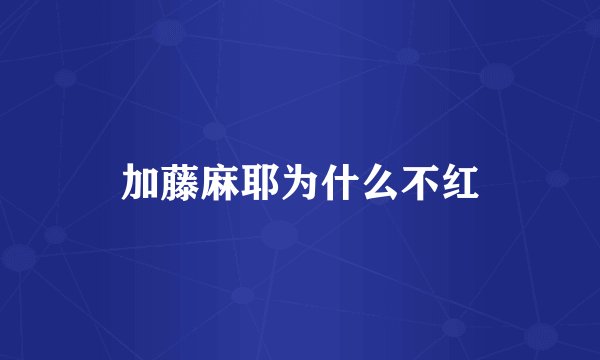 加藤麻耶为什么不红