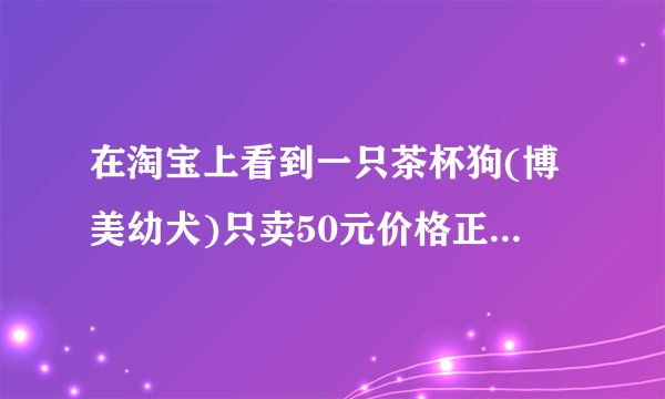 在淘宝上看到一只茶杯狗(博美幼犬)只卖50元价格正常吗? -