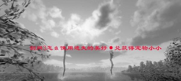 剑网3怎么使用遗失的美好·兑获得宠物小小