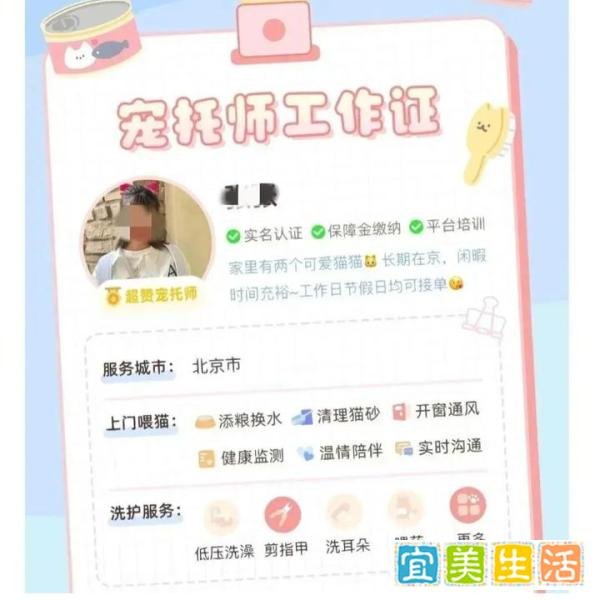 8个正规任务接单放单平台,零撸一天500+,一单一付,居家就能做!