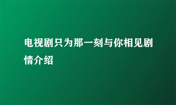 电视剧只为那一刻与你相见剧情介绍