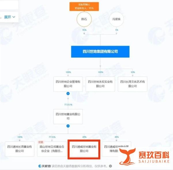 “超女”冯家妹成新能源董事长