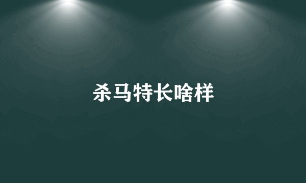 杀马特长啥样