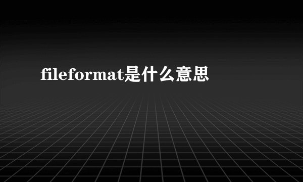 fileformat是什么意思
