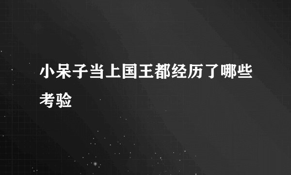 小呆子当上国王都经历了哪些考验