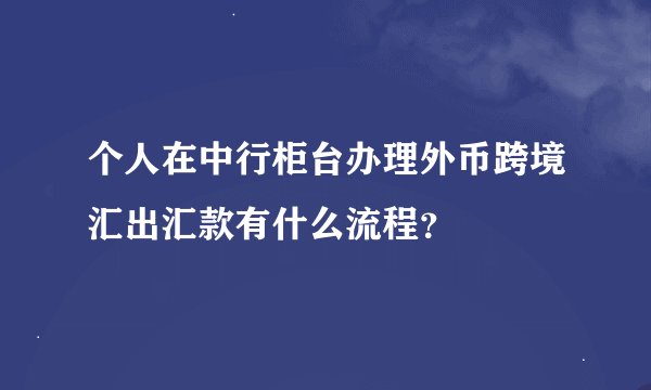 个人在中行柜台办理外币跨境汇出汇款有什么流程？