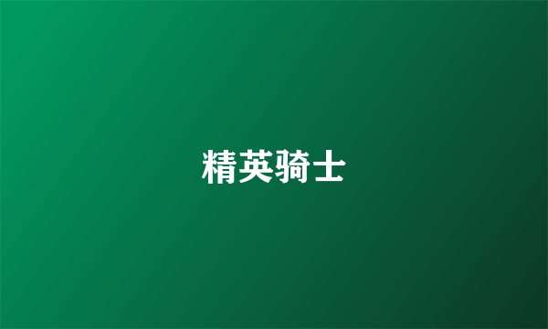 精英骑士