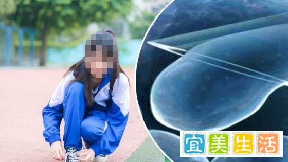 18岁少女多次“捐卵”生命垂危 卵巢被部分切除