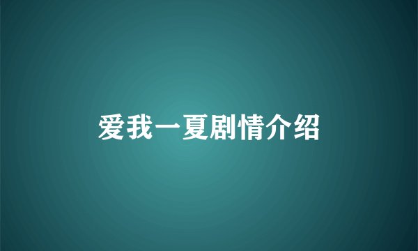 爱我一夏剧情介绍