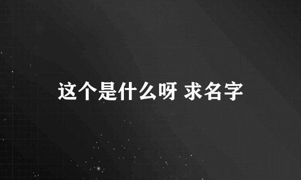 这个是什么呀 求名字