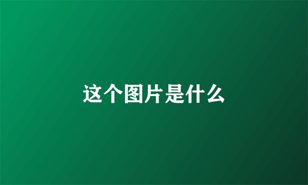 这个图片是什么