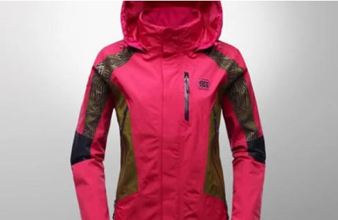 两个树木的衣服牌子