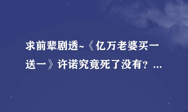 求前辈剧透~《亿万老婆买一送一》许诺究竟死了没有？最后和宁宁结婚的是谁？