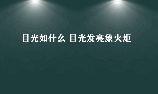 目光如什么 目光发亮象火炬