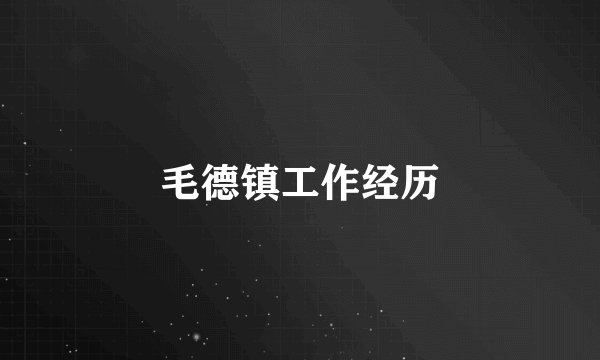 毛德镇工作经历