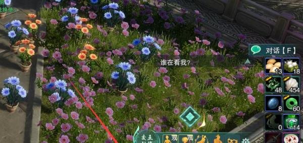 剑网3怎么使用遗失的美好·兑获得宠物小小