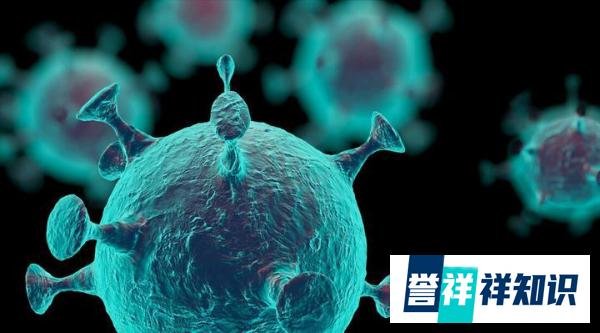 国产新冠特效药即将上市：Ⅲ期临床试验成功，高危者保护率达100%