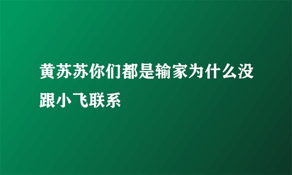 黄苏苏你们都是输家为什么没跟小飞联系
