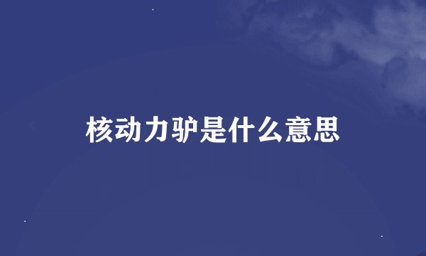 核动力驴是什么意思
