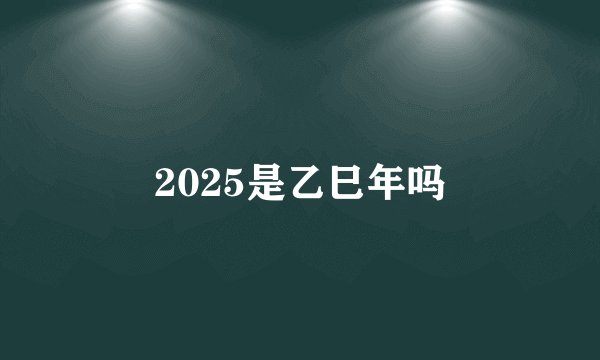 2025是乙巳年吗