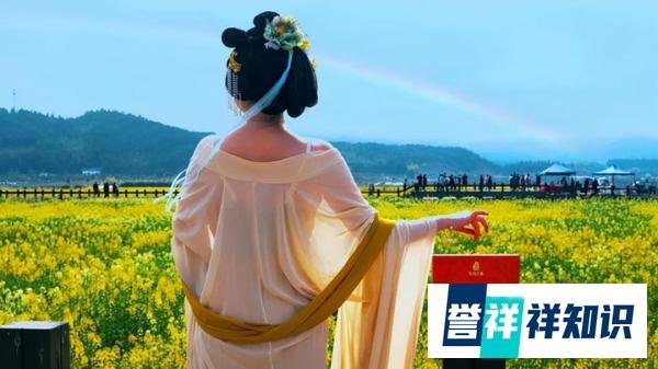 东方六禾 | 带着六禾好茶，迎接春暖花开
