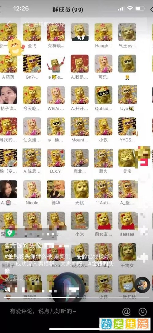 金钱豹发财项目