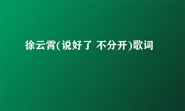 徐云霄(说好了 不分开)歌词