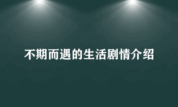 不期而遇的生活剧情介绍
