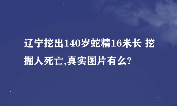 辽宁挖出140岁蛇精16米长 挖掘人死亡,真实图片有么?