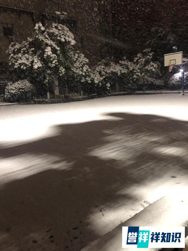 雪影、雪路、雪人
