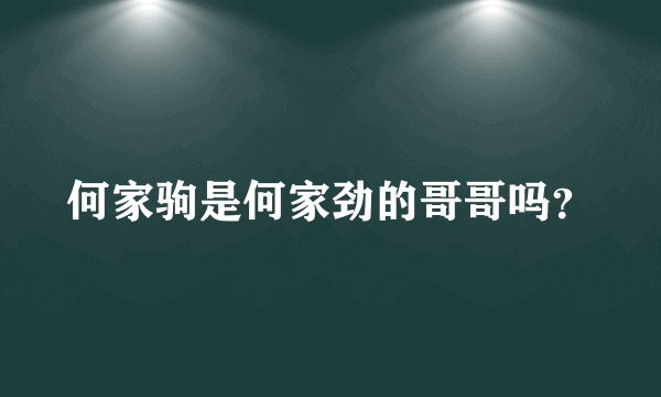 何家驹是何家劲的哥哥吗？
