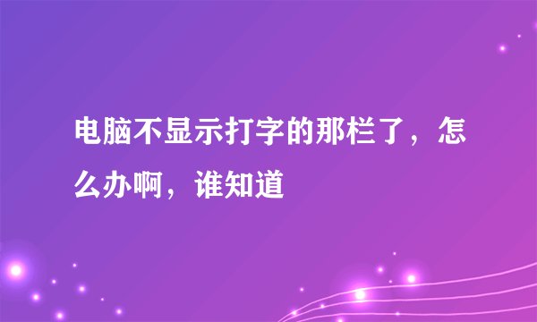 电脑不显示打字的那栏了，怎么办啊，谁知道