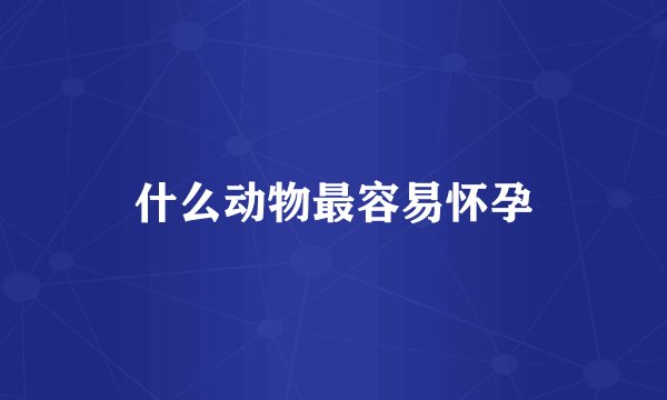 什么动物最容易怀孕