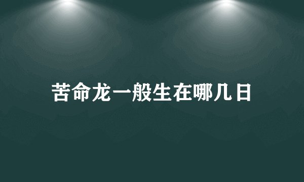 苦命龙一般生在哪几日