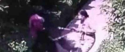 河南安阳“狗咬人