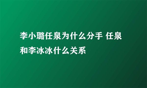 李小璐任泉为什么分手 任泉和李冰冰什么关系