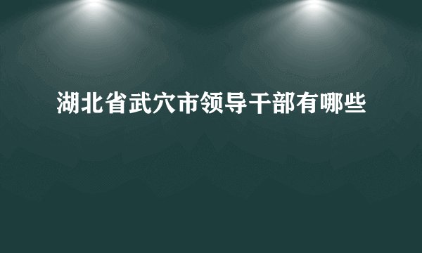 湖北省武穴市领导干部有哪些