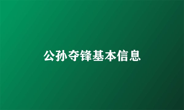 公孙夺锋基本信息