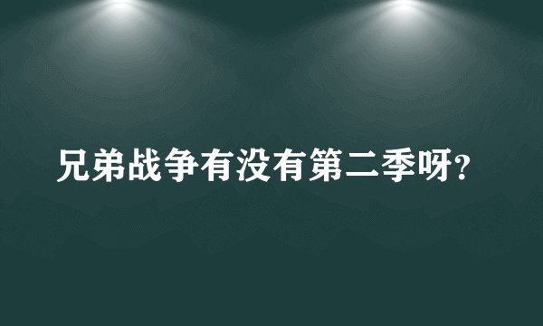 兄弟战争有没有第二季呀？
