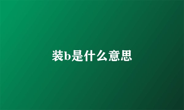 装b是什么意思