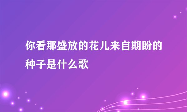 你看那盛放的花儿来自期盼的种子是什么歌