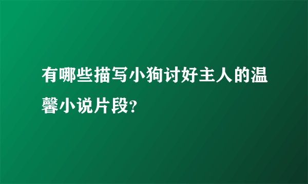 有哪些描写小狗讨好主人的温馨小说片段？